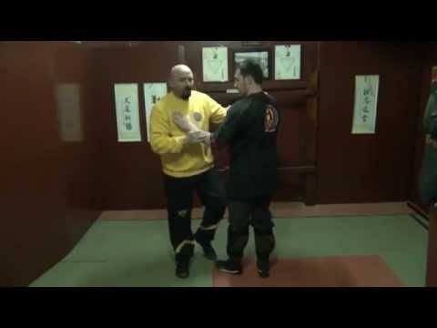Preview: Lesson 35 - Defense - Legs and Chi Gerk (Sifu Fernandez's WingTchunDo Course)