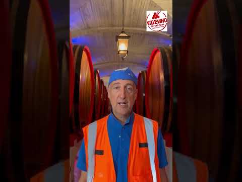 Video of Fabio Turrini