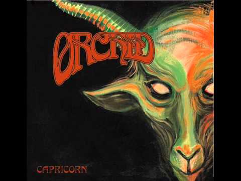 Orchid - Capricorn