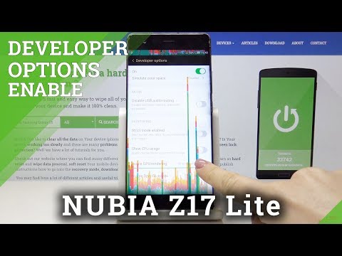 How to Enter Developer Options in NUBIA Z17 Lite – OEM Unlock & USB Debugging