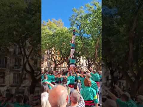 video-cover