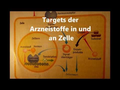 Warum schwillt Knöchel ohne Schmerzen Eine Plage über die gemeinsame bei Hunden