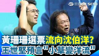 王世堅重砲預言「黃珊珊選票流向沈伯洋」！直批蔣萬安「太過輕敵」 政策論述死氣沉沉 狠酸「只會講大巨蛋」｜三立新聞網 SETN.com