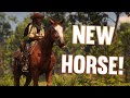 FIRST HORSE RDR2 Realistic Roleplay The Rift