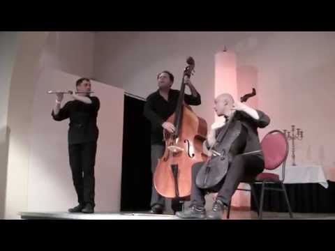 summerwinds 2014 - Project Trio
