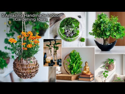 5 Amazing Handmade indoor Gardening Ideas Anyone Can Make for Home & Small Gardens//GREEN PLANTS