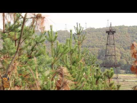 Ticleni prin ochii nostri