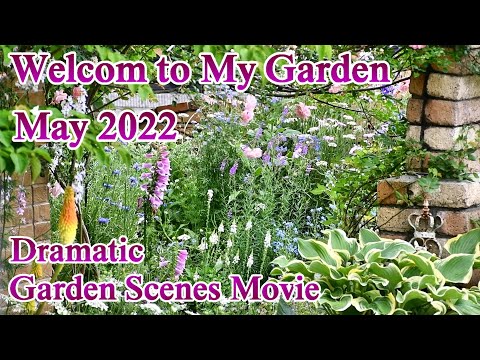 無料の2022年6月の菜園旧暦カレンダー 