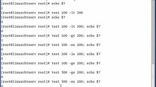 Linux Bash course 2/51 Shell Tests