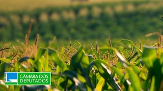  Indicações à LOA 2025 - 17/12/2025 10:00