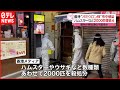 【殺処分】ハムスターなど２０００匹 感染源の可能性 香港