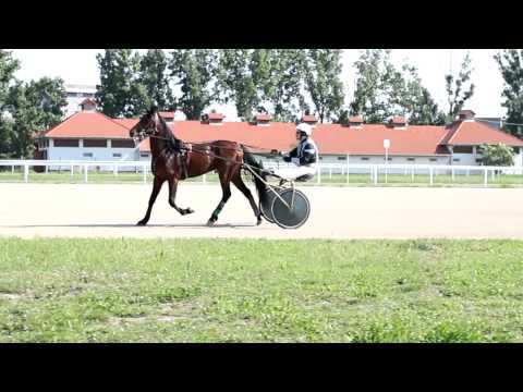 Lardon - BKF felvételi bemutatkozó kisfilm - Weber Zsolt
