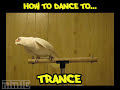 How to dance......on meth (Asus) - Známka: 1, váha: velká