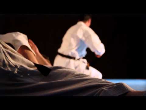 Study Martial Arts with Lionel Froidure