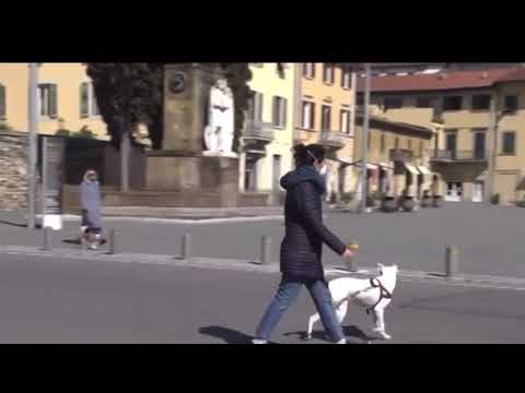 Video parodia estate 2020 a Prato