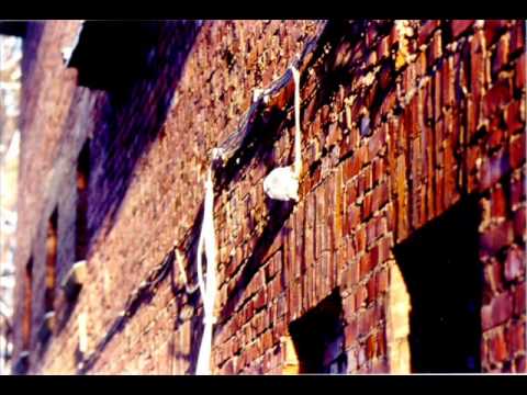 Glutamator - Fickschnitzel