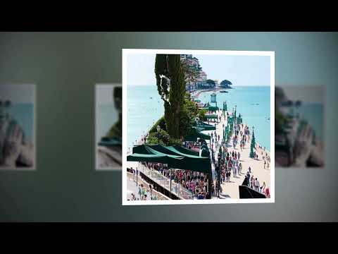 Trắng - Thái Hòa