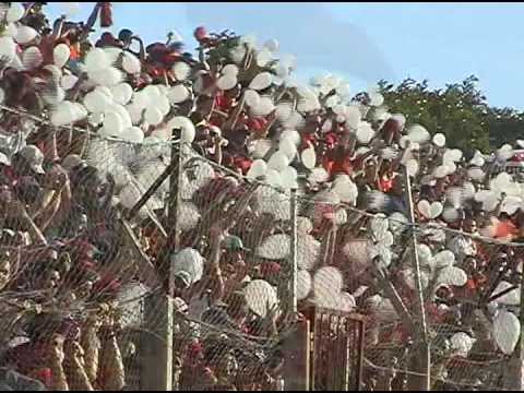 MATÉRIA ANIVERSÁRIO CLAUDIO MILAR - TV UCPel