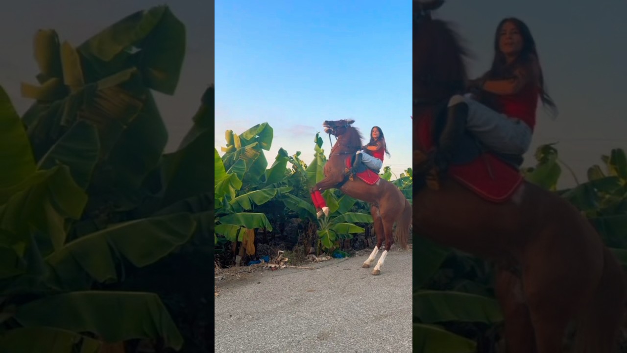 🐎 Girl Rides Horse at Full Speed! 🔥