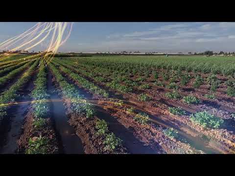 Suab Qeej Nuj Sis Loob REMIX