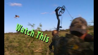 Bowhunting the Fastest Game Birds Alive. Ducks, Doves, Grouse and Parakeet