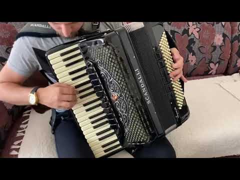 Scandalli Super VI N Seria Proba, Haris Kaltak. Savršeno