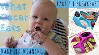 7 BREAKFAST IDEAS | Baby Led Weaning