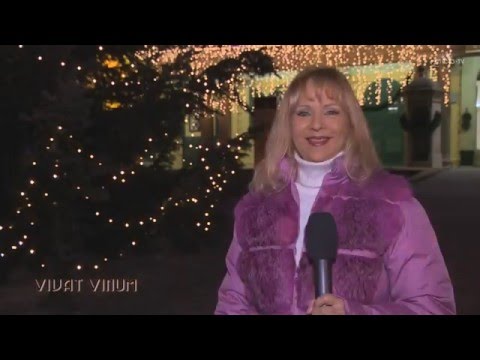 VIVAT VINUM 12. - 20. Dez 2015