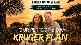 How to make the most of a Kruger safari in just five days