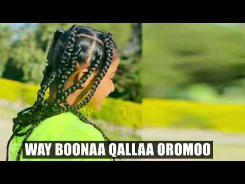hanan Mahmoud oromo music news