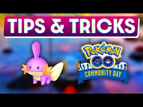 MUDKIP COMMUNITY DAY TIPS & TRICKS | POKÉMON GO