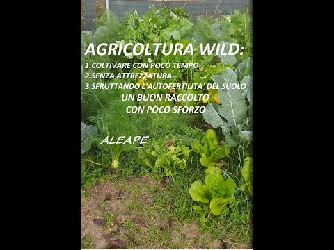 agricoltura wild coltivare con poco tempo e senza attrezzatura  il non fare