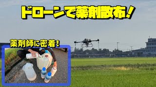 【今年も！】ドローンで薬剤散布！薬剤師に密着！【盈科】