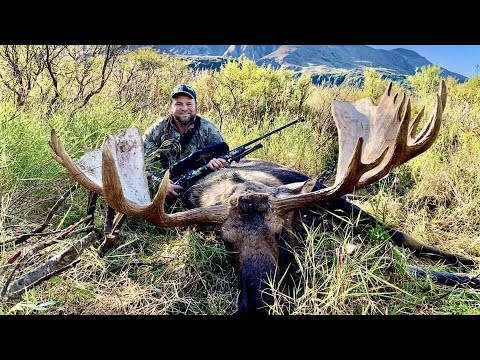 image-Where can I see moose in Fairbanks Alaska?