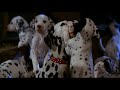 Rescuing Abducted Dalmatian Puppies 1 2 101 Dalmatians Movie Scene