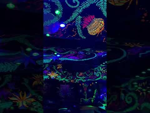 Neoninės dekoracijos #2