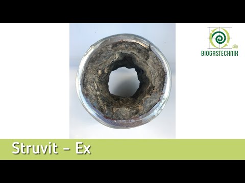 Struvit Ex