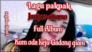 Download lagu Lagu Pakpak Full album mp3