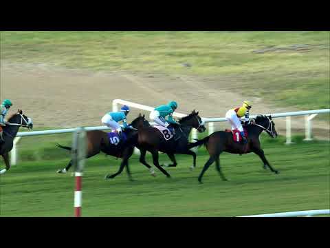 210404 c04 DESPROPOSITO