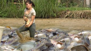 Full Videos: Village Life, Survival Fishing In the Woods, Girl Fishing Catching a Lots Of Big Fish
