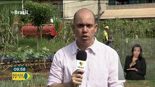 Miniatura do vídeo