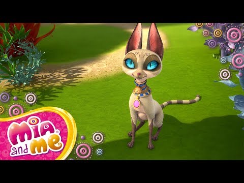 Poor cat - Mia and me 🦄🌈