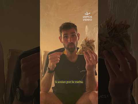 🌊🍪 ¿Probarías galletitas hechas con algas?