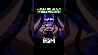 원피스) 최강이라 불린 카이도가 살면서 유일하게 후회하는 일