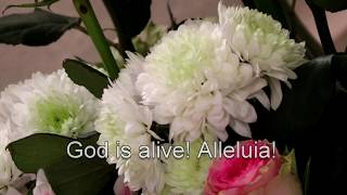 God is Alive Alleluia !