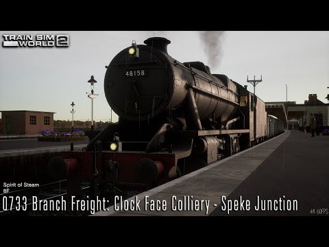 0733 Branch Freight: Clock Face Colliery - Speke Junction - Spirit of Steam   8F - Train Sim World 2