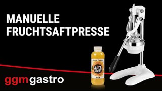 Presse-agrumes manuelle - avec 3 filtres - Bronze