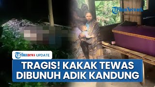 Pertikaian Berujung Maut, Kakak Tewas Dibunuh Adik Kandung di Sikka Pelaku Serahkan Diri ke Mapolsek