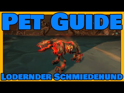Lodernder Schmiedehund | Hunter Pet Guide #26