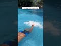CARA BERENANG TUTORIAL RENANG GAYA BEBAS ‍ ️